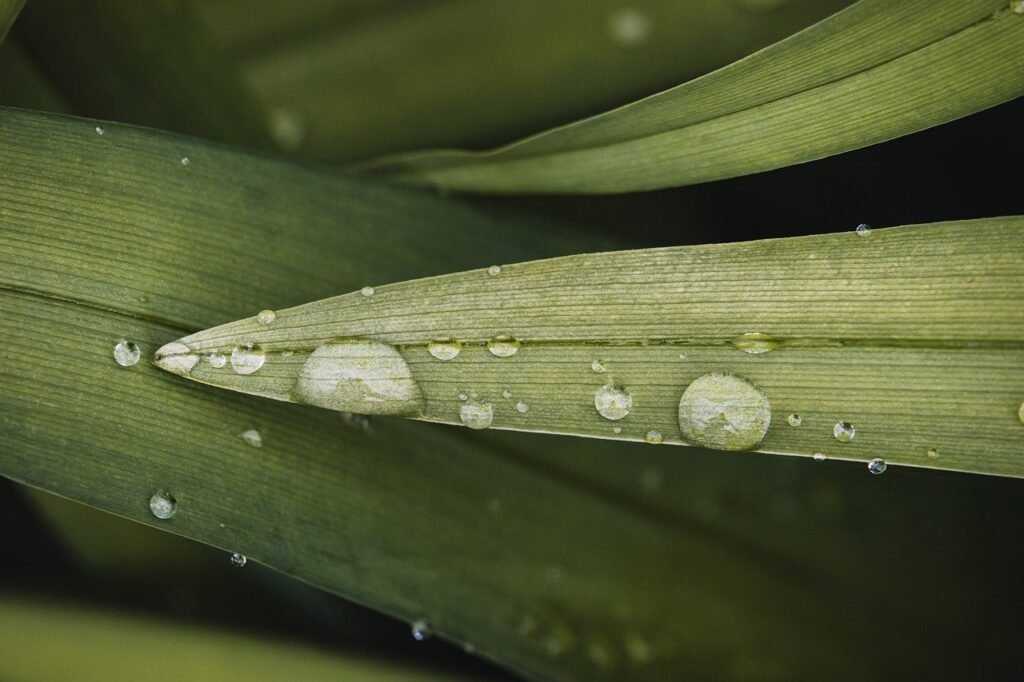 water-drops-9515029_1280